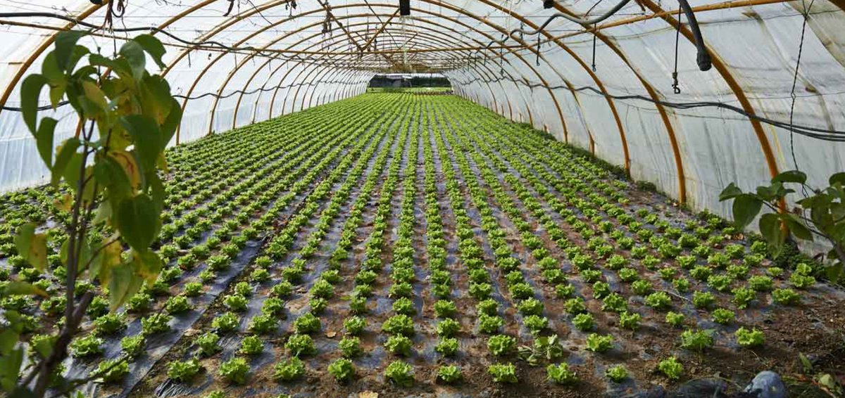 GeneralColor's tweet image. Which Industries Rely Most On Plastic? A Deep Dive - plastics-technology.com/articles/which…

Color and plastics are our business and we aim to be your #1 go to #ColorantSupplier. Learn more about #GeneralColor at generalcolor.com

#plasticscolor #plasticscolorant