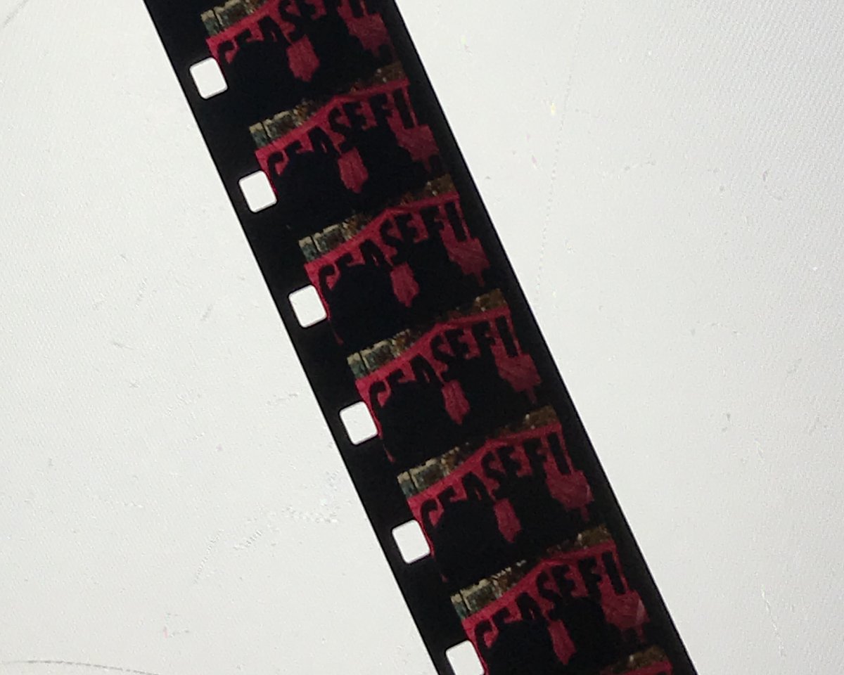 Opencolour's tweet image. “Keep your mind in hell, and despair not”

AND DESPAIR NOT (@PipacsosMezo) screening
Sun 2nd Nov, 5pm, @cowleyclub 

Part of @PalFilmLab's Palestine Cinema Days Around The World 2025