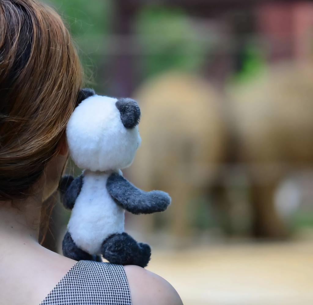 Sayaka Kobori(コボリサヤカ)◇11月22日大雄寺展示/29日駒込神社出店