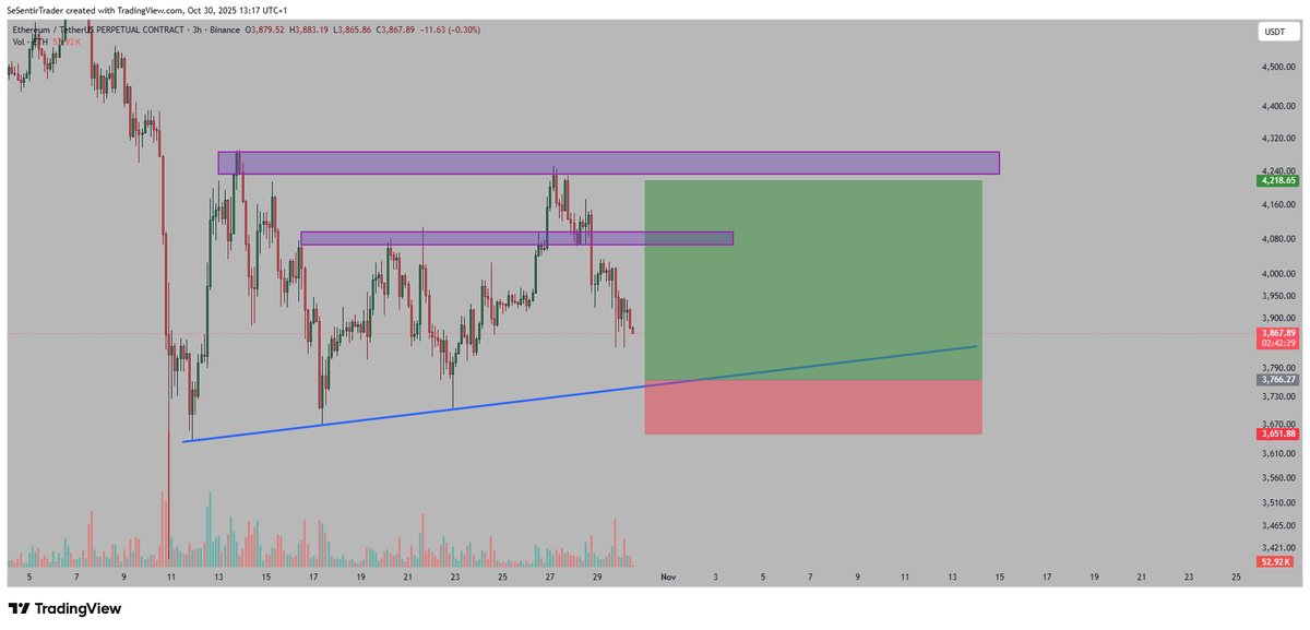 Tryrex tweet media