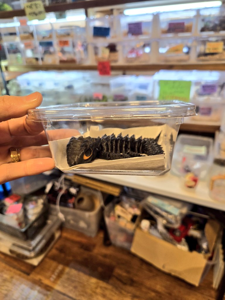 爬虫類専門店【𝙳𝙸𝚉𝚉𝚈 𝙿𝙾𝙸𝙽𝚃】東京第002225 on X