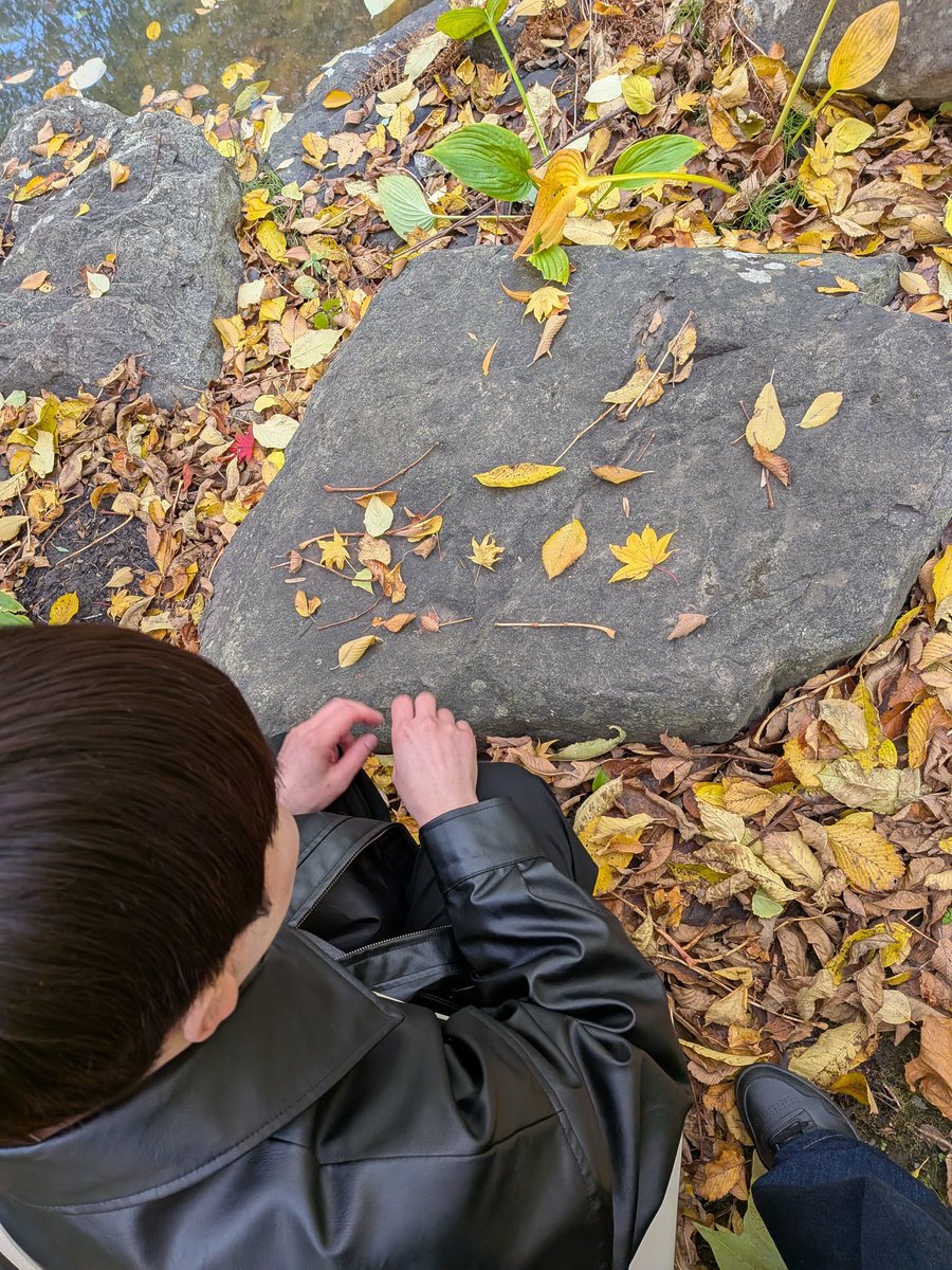 mamebontan's tweet photo. 今年も紅葉見に来れた🍁 https://t.co/wb1J0LhBCS
