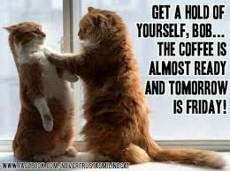 K.W. Bussard tweet media