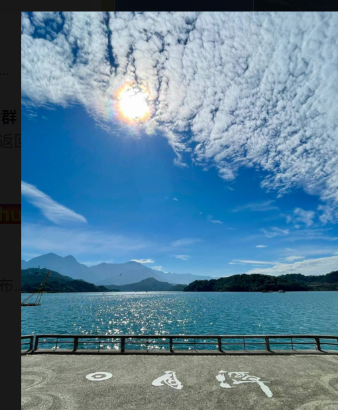 SwanEcho tweet media