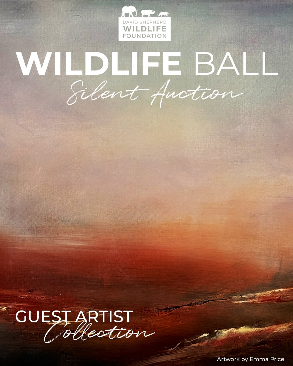 David Shepherd Wildlife Foundation tweet media