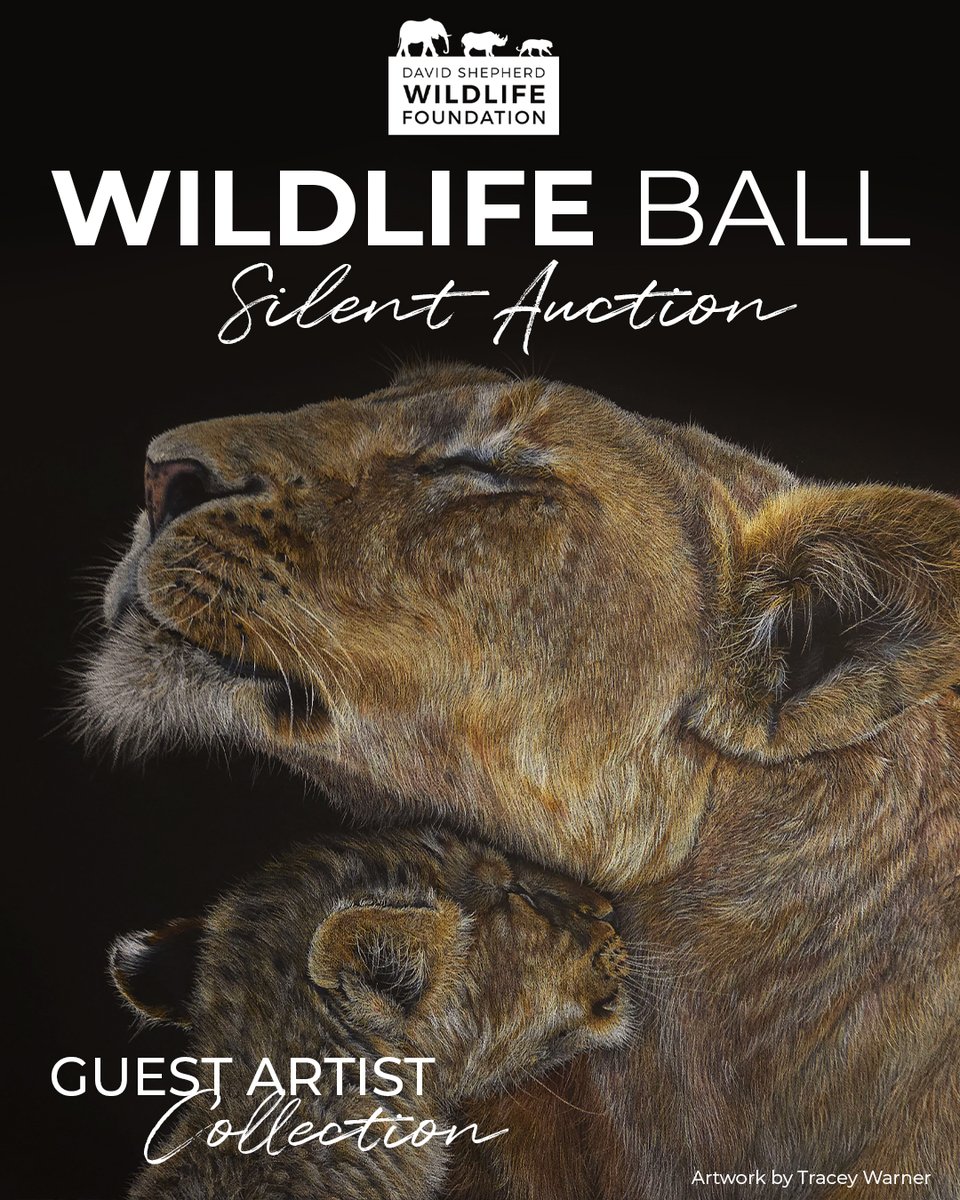 David Shepherd Wildlife Foundation tweet media