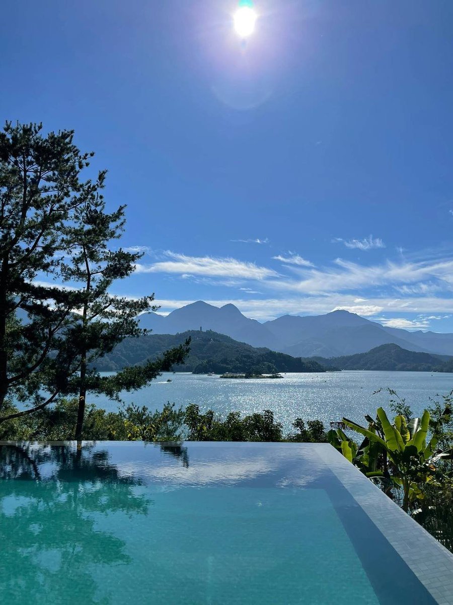 SwanEcho tweet media