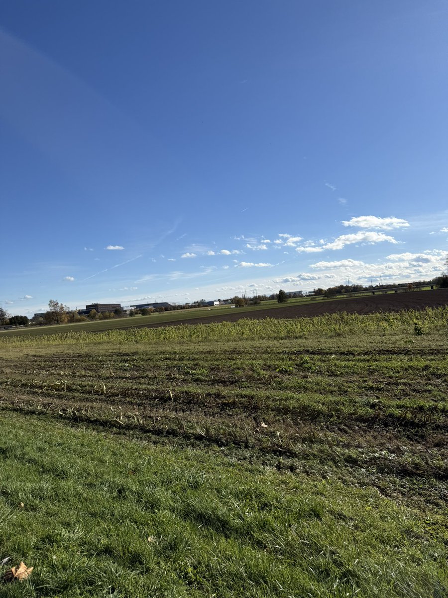 Mr.Software (@_mike_ross_) on Twitter photo வெயிலு 😍😍 வெயிலு 😍😍