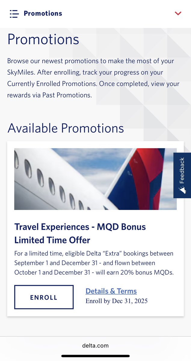 DL デルタ航空 2ミリオンマイラー 荷札1枚。2枚ご希望の方はお