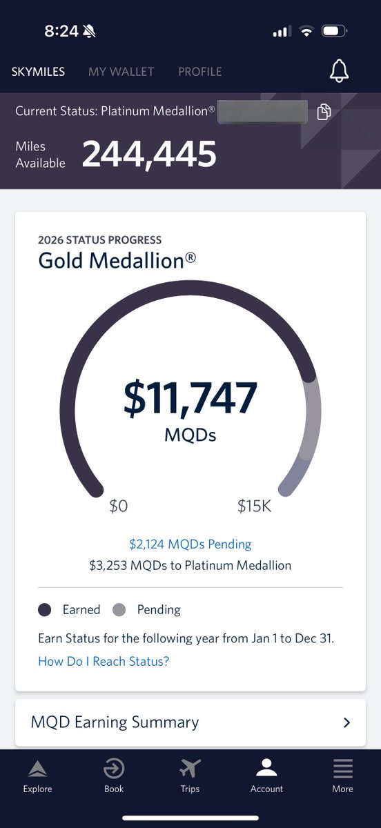 DL デルタ航空 2ミリオンマイラー 荷札1枚。2枚ご希望の方はお申し出