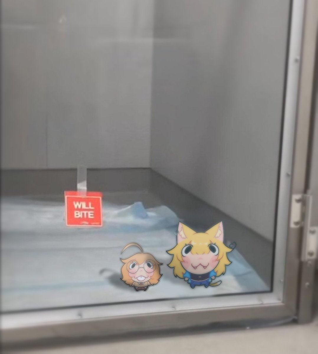 Esperando a que wanshelter nos adopte

No mordemos 🥹