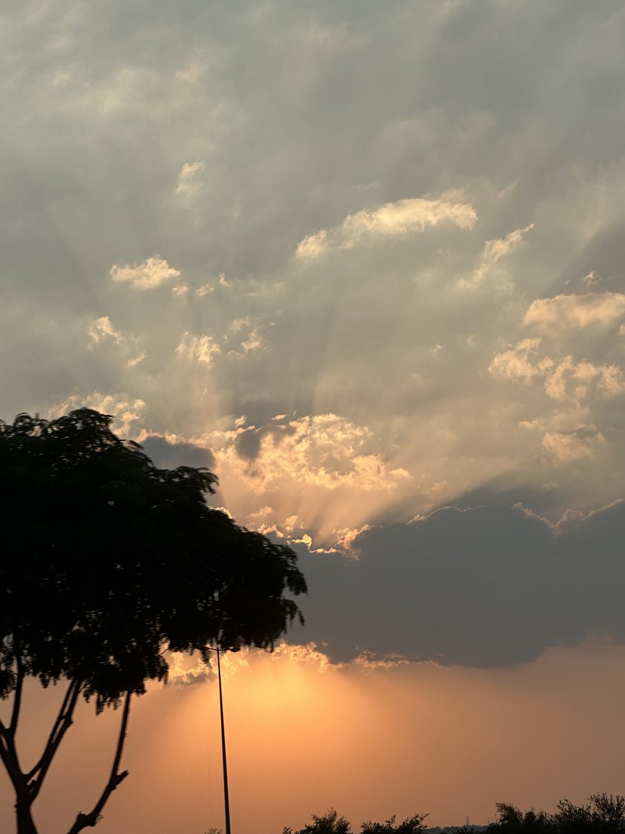 PeninsulaQatar's tweet photo. Sunset, expressing nature’s masterpiece, captured enroute to Al Khor by The Peninsula reader Shyjal Abdullah on Wednesday evening in Doha. 

#Qatar #AlKhor https://t.co/cux51ntidr