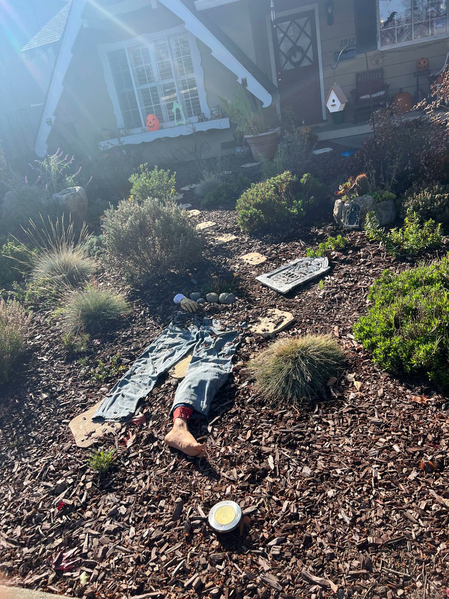 c_Delight_c's tweet image. That&apos;s enough
#Halloween