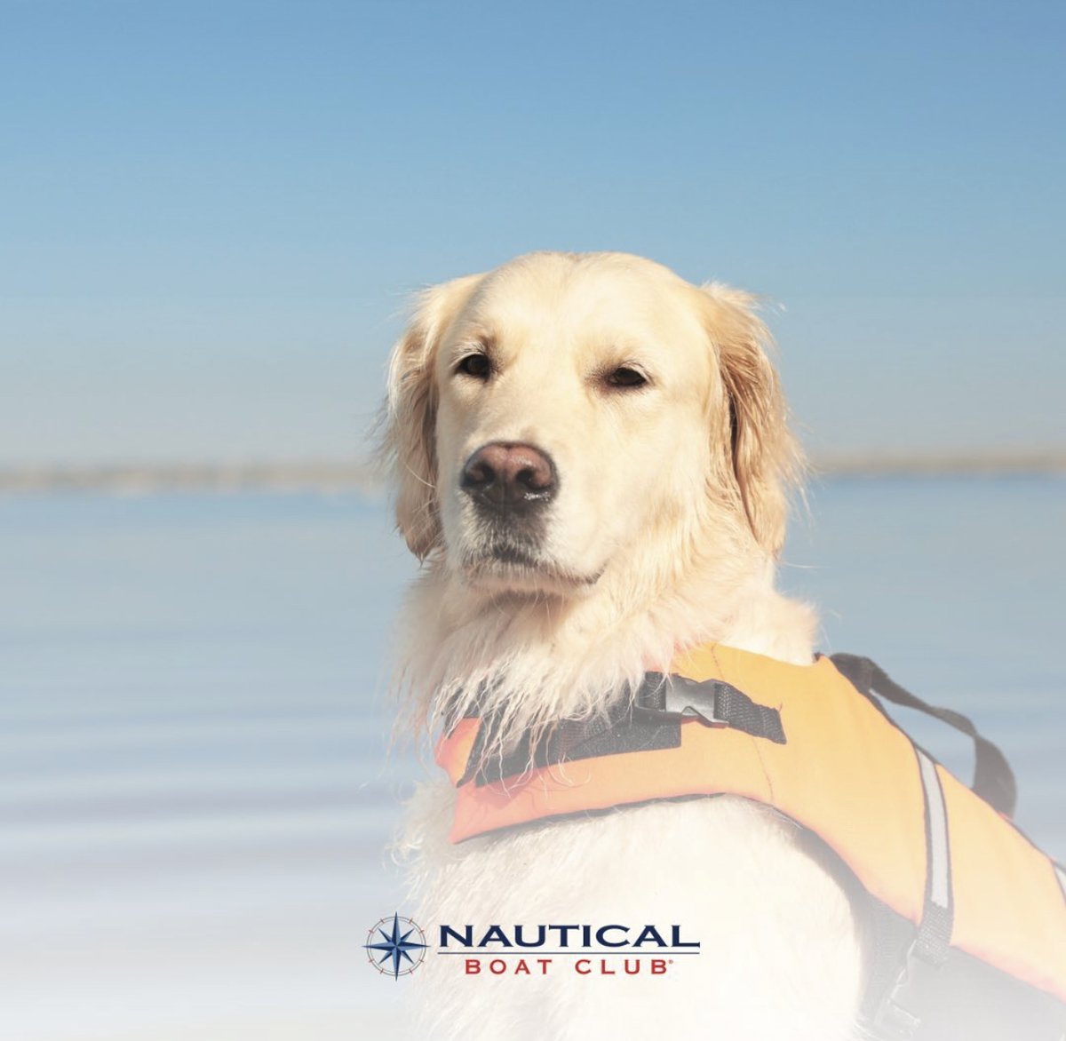 nauticalbcmp's tweet image. Dogs love boat days too — especially when the air is crisp and the lake is calm! 
Cooler weather = perfect boating weather.
Join the Nautical Boat Club and make every tail wag on Lake Murray!