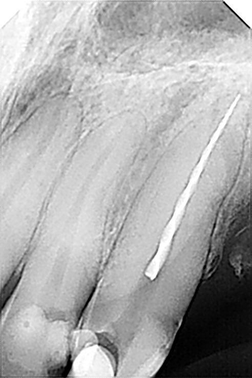 ذعار القحطاني tweet media