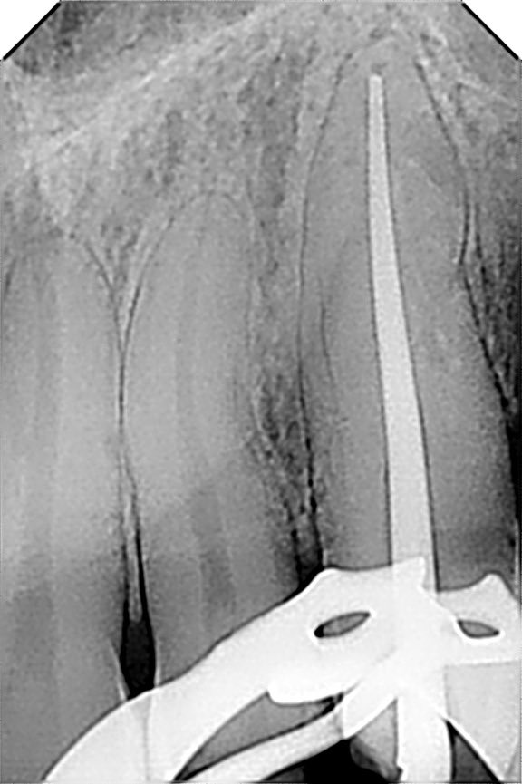 ذعار القحطاني tweet media