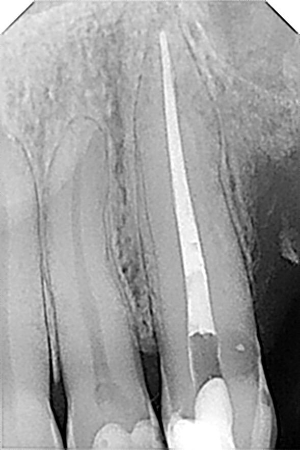 ذعار القحطاني tweet media