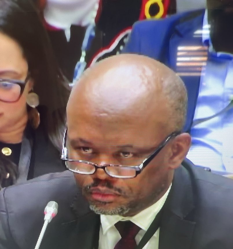 General Sibiya ate all 20 impalas' and claimed they died.
#MadlangaCommission