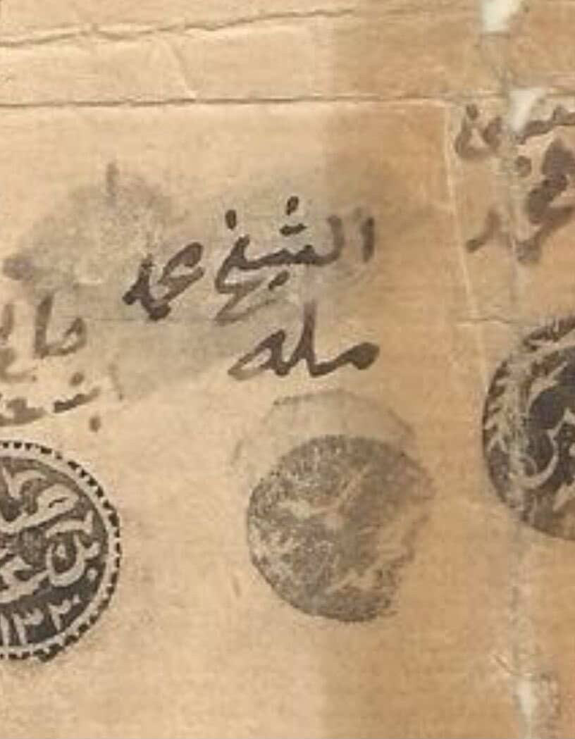 الثعلبي tweet media