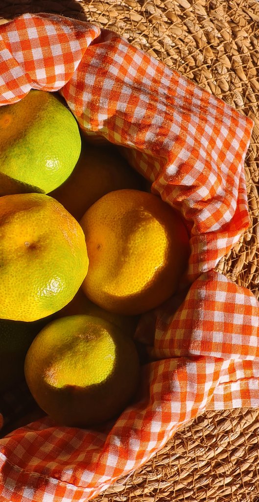 Bahçemizdeki ağaçtan yeni koparılmış mandalina kokusuu 🤌🏻