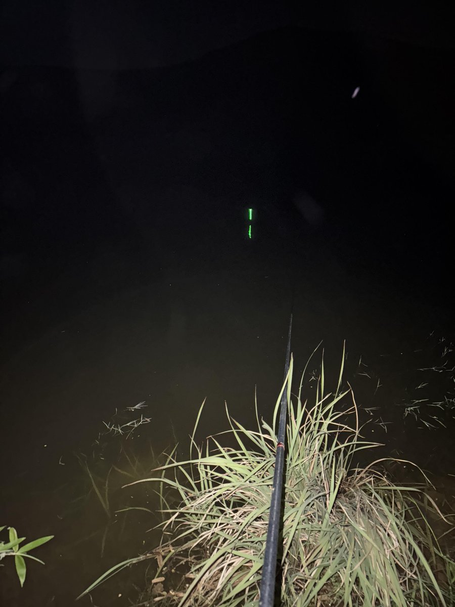 dcmgpp's tweet image. 夜釣りをすると、水面に広がる波紋とともに心が徐々に穏やかになっていきます。