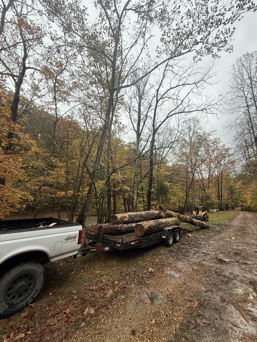 Aaron Loring Davis tweet media