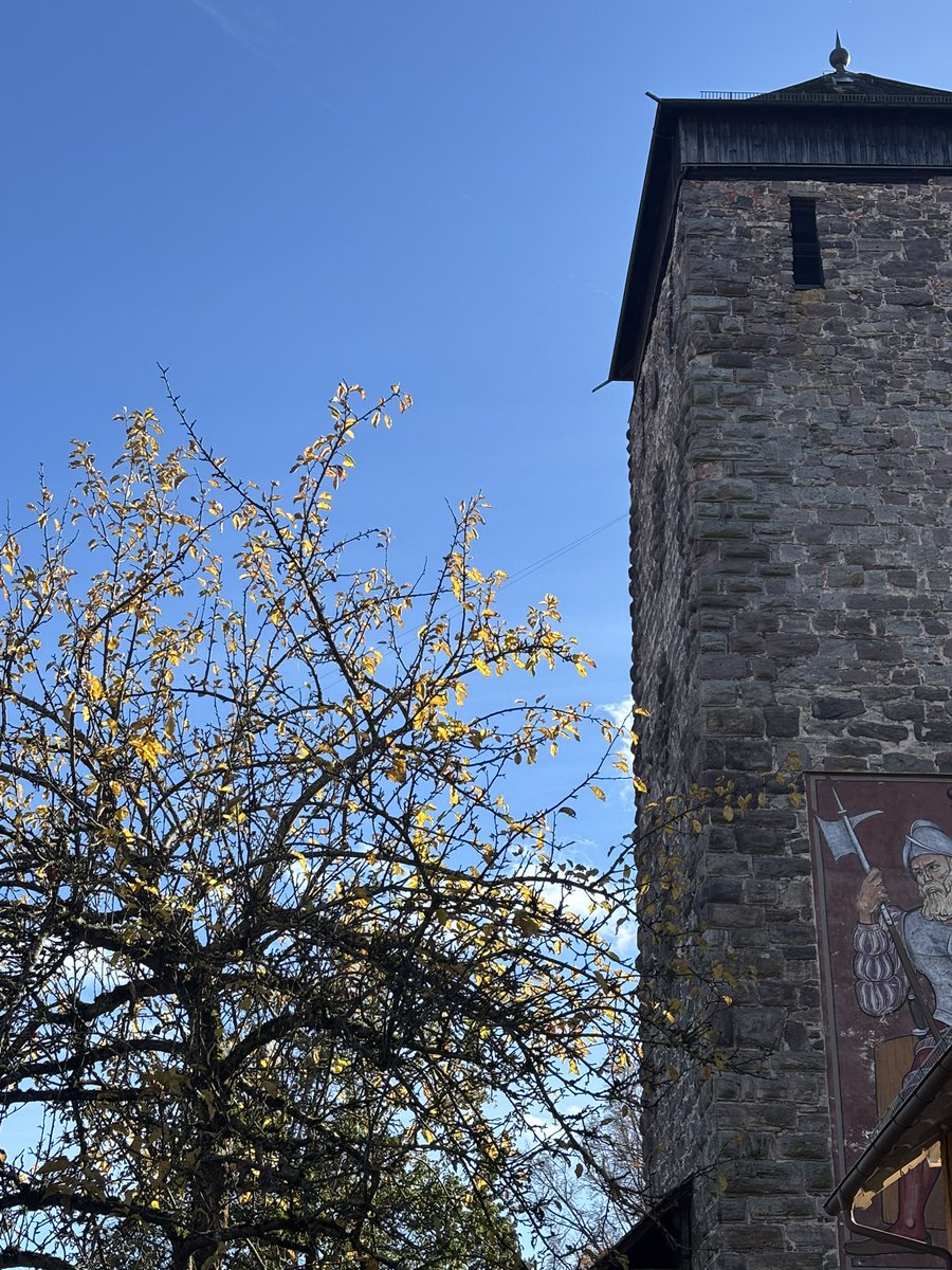 schere's tweet image. Leben