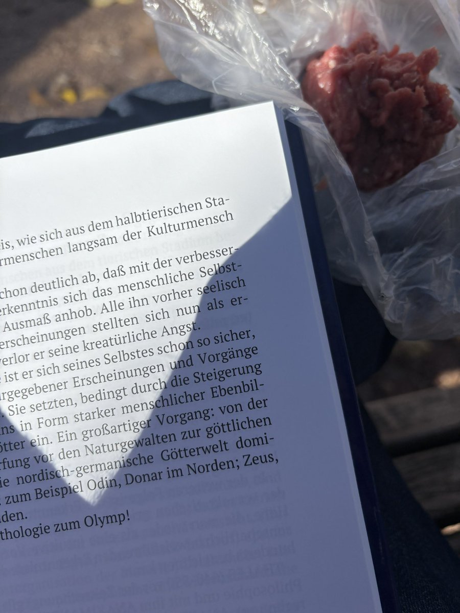 schere's tweet image. Leben