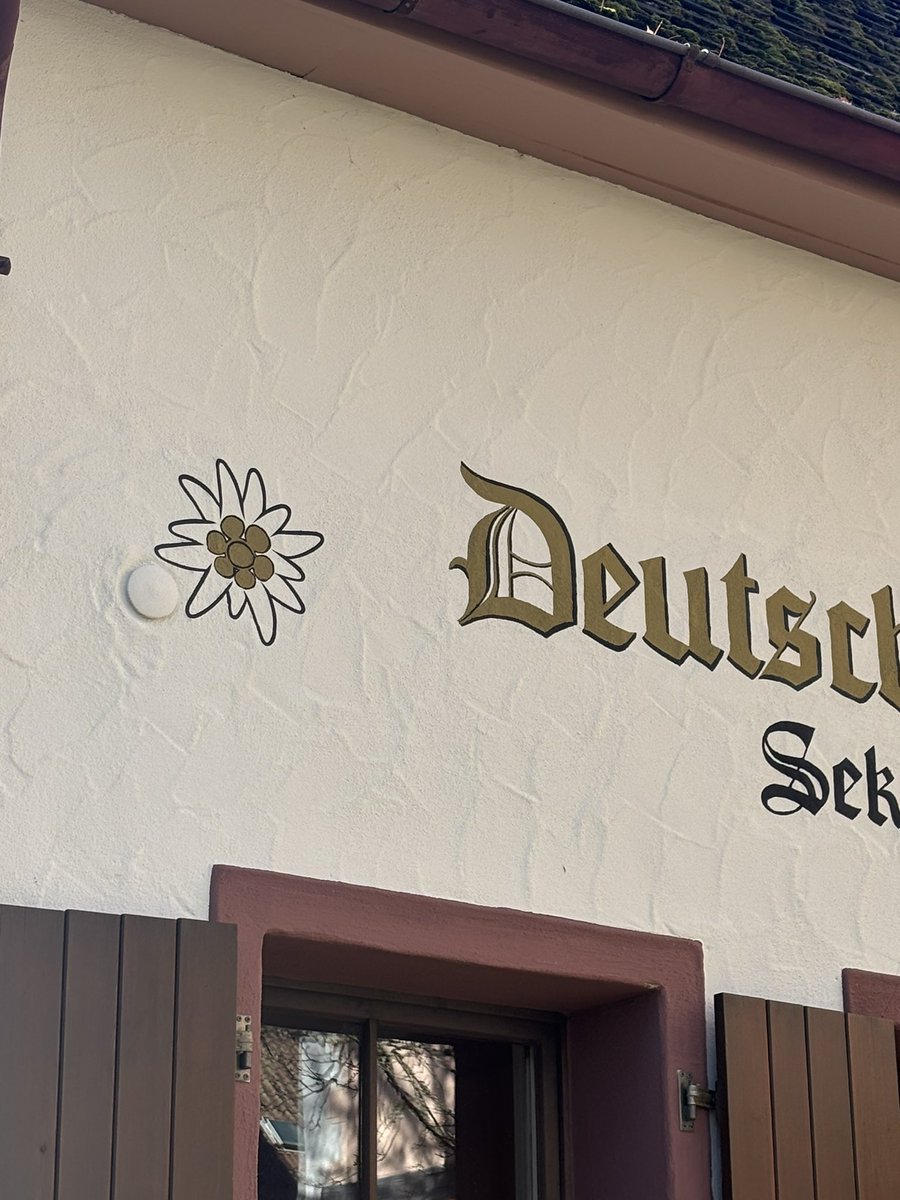 schere's tweet image. Leben