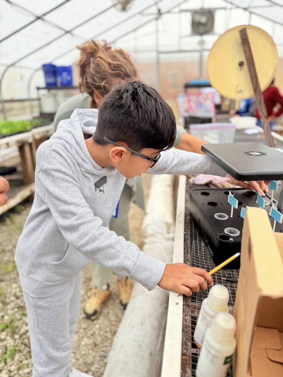 Lawndale_TPSD's tweet photo. Rainy days provide an opportunity for learning in the #sprouthousetpsd. Ms. Howardโs 4th grade class learned about hydroponic growing and helped pot-up a few plants during their class with Chasiti. #tpsd @GrowHealthWaves #AllForOneAndOneForAll https://t.co/z6becJlECt