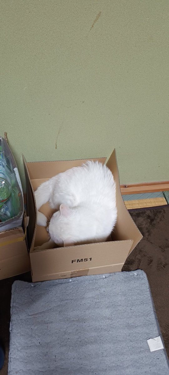 こんちゃん こんちゃん🎸 (@osakakon) / Posts / X