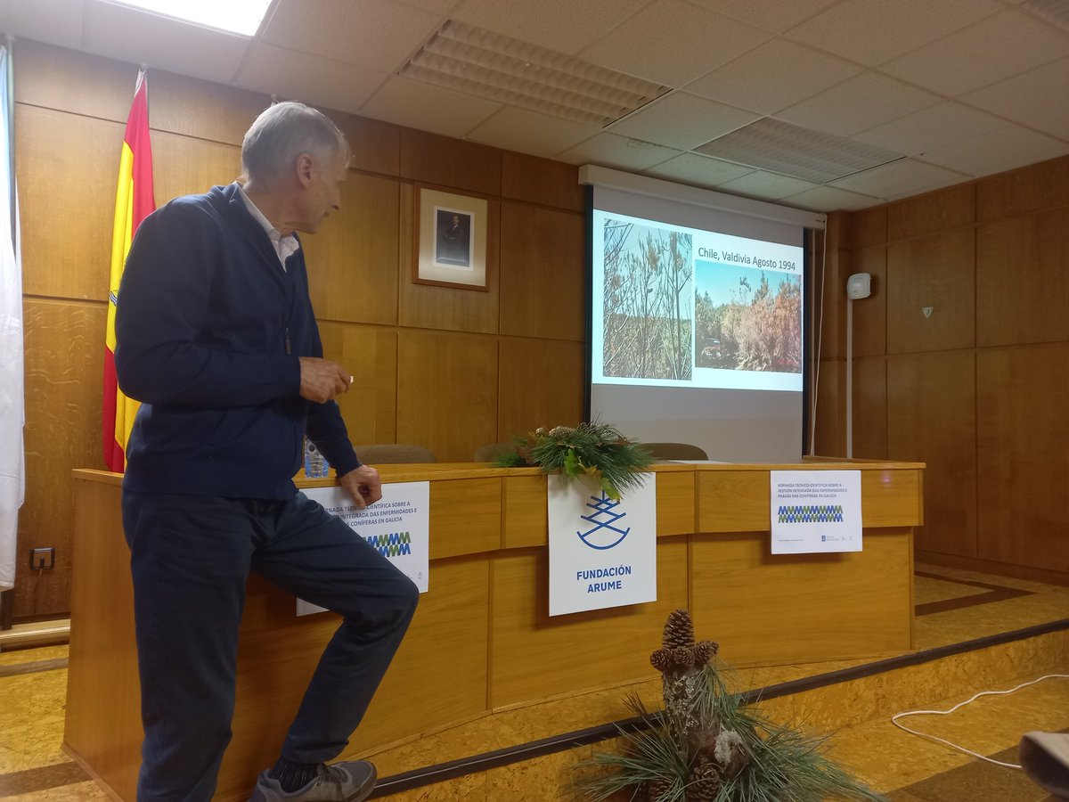 CIF de Lourizán tweet media