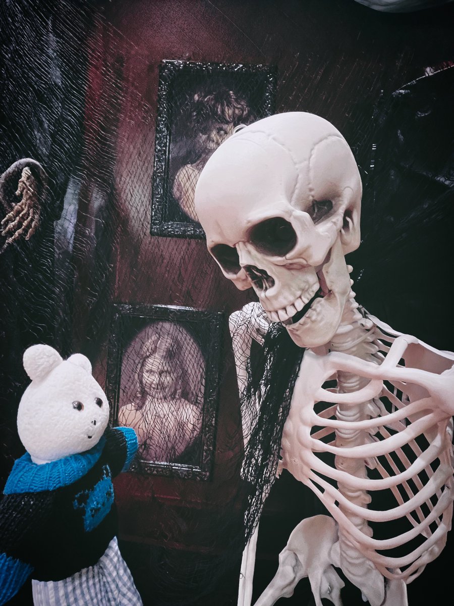 くまきち くまきち (@kmakici) / Posts / X