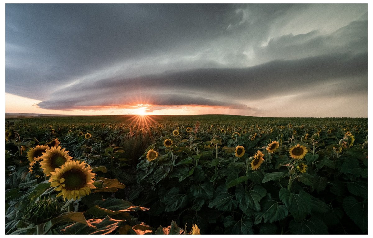 Does this one count?