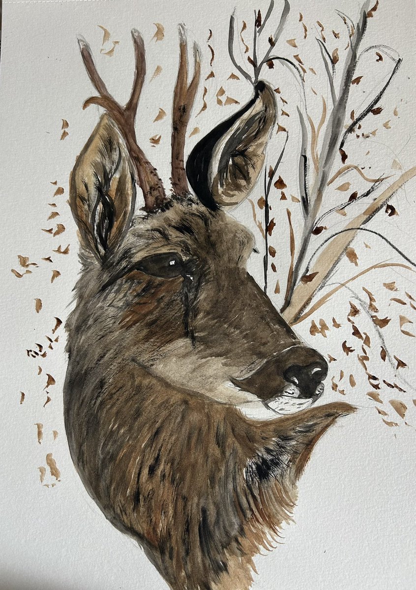 Étude d’un petit prince comme un jeudi . #chassepartage #IlsSachentNouschassons . Belle journée 😘😘