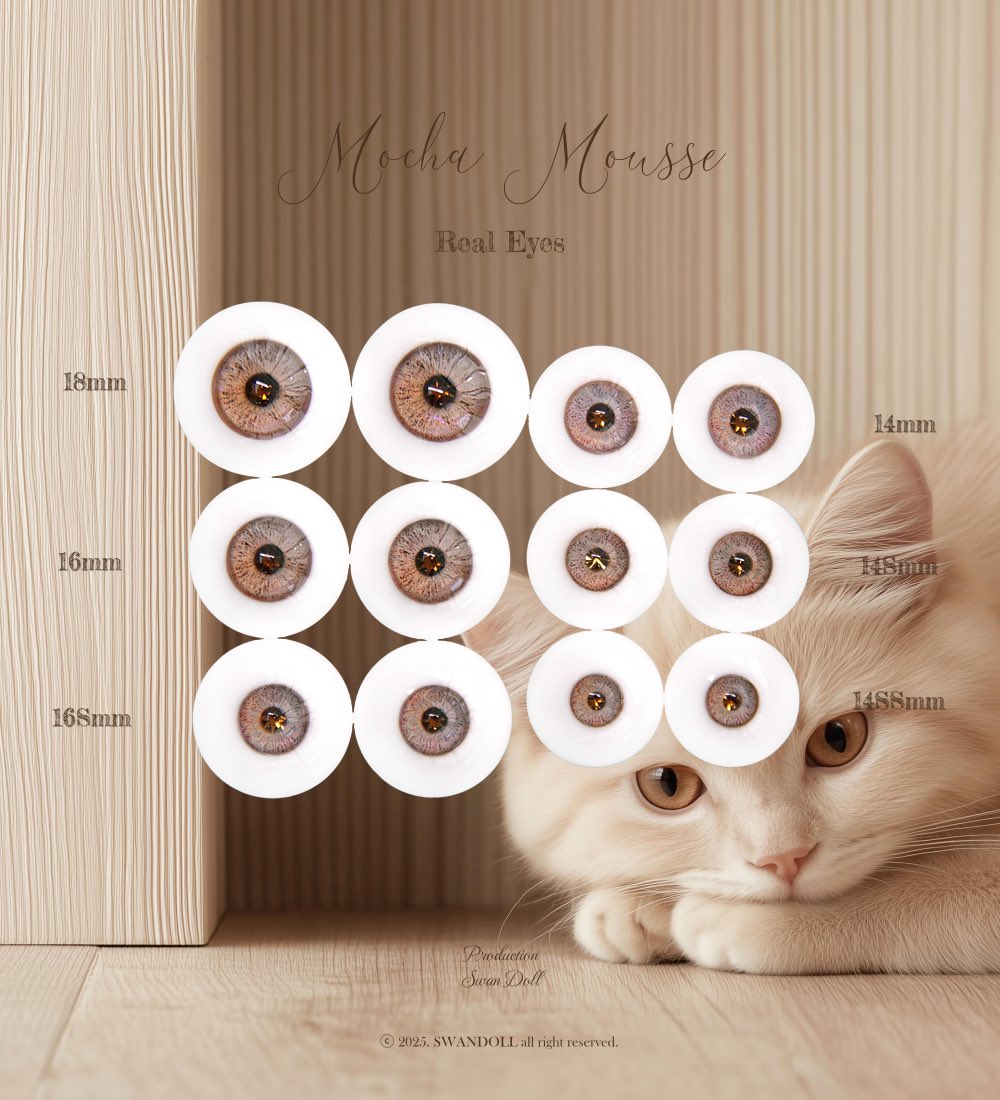 SWAN_BJD's tweet image. 🎃 𝙍𝙚𝙖𝙡 𝙀𝙮𝙚𝙨…!

𝗠𝗼𝗰𝗵𝗮 𝗠𝗼𝘂𝘀𝘀𝗲..☕️
· 𝟷𝟾𝑚𝑚 𝟷𝟼𝑚𝑚 𝟷𝟼𝑆𝑚𝑚 𝟷𝟺𝑚𝑚 𝟷𝟺𝑆𝑚𝑚 𝟷𝟺𝑆𝑆𝑚𝑚 𝟷𝟸𝑚𝑚 𝟷𝟸𝑆𝑚𝑚 𝟷𝟶𝑚𝑚

𝗠𝗼𝗻𝗼𝗰𝗵𝗿𝗼𝗺𝗲..🖤
· 𝟷𝟼𝑚𝑚 𝟷𝟺𝑚𝑚 𝟷𝟺𝑆𝑚𝑚 𝟷𝟺𝑆𝑆𝑚𝑚

🦢¸.•*¨*•¸.•*¨*•¸.•*¨*•¸.•*¨*•

swandoll.com…