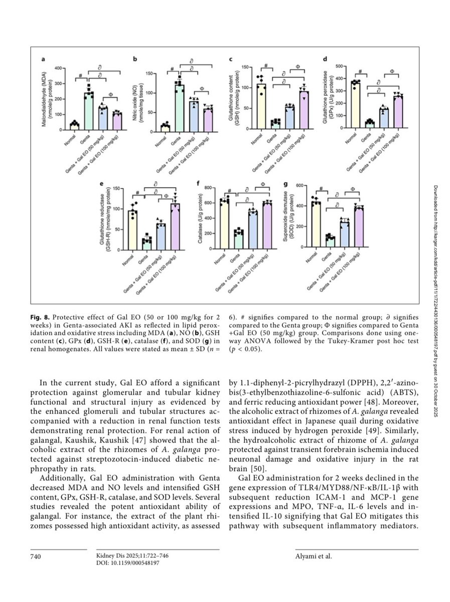 Rearaifi's tweet photo. ورقة بحثية جديدة📑 الحمدلله
our latest publication titled:
“Alpinia galanga Essential Oil Mitigates Gentamicin-Induced Renal Injury In silico and in vivo Studies”
Published in Kidney Diseases (Karger, Vol. 11, Issue 1, 2025)
Thanks to the great team🎊 https://t.co/pMr0fgl6zu