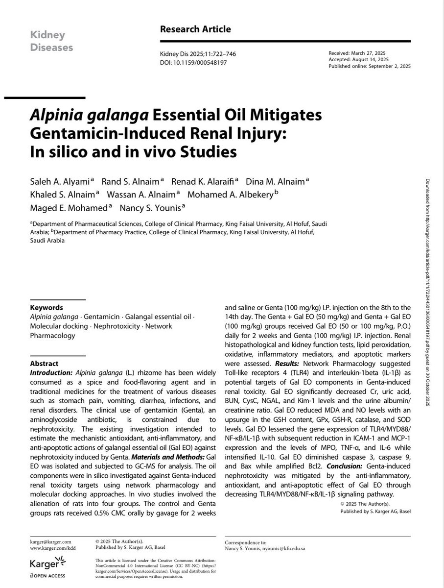 Rearaifi's tweet photo. ورقة بحثية جديدة📑 الحمدلله
our latest publication titled:
“Alpinia galanga Essential Oil Mitigates Gentamicin-Induced Renal Injury In silico and in vivo Studies”
Published in Kidney Diseases (Karger, Vol. 11, Issue 1, 2025)
Thanks to the great team🎊 https://t.co/pMr0fgl6zu