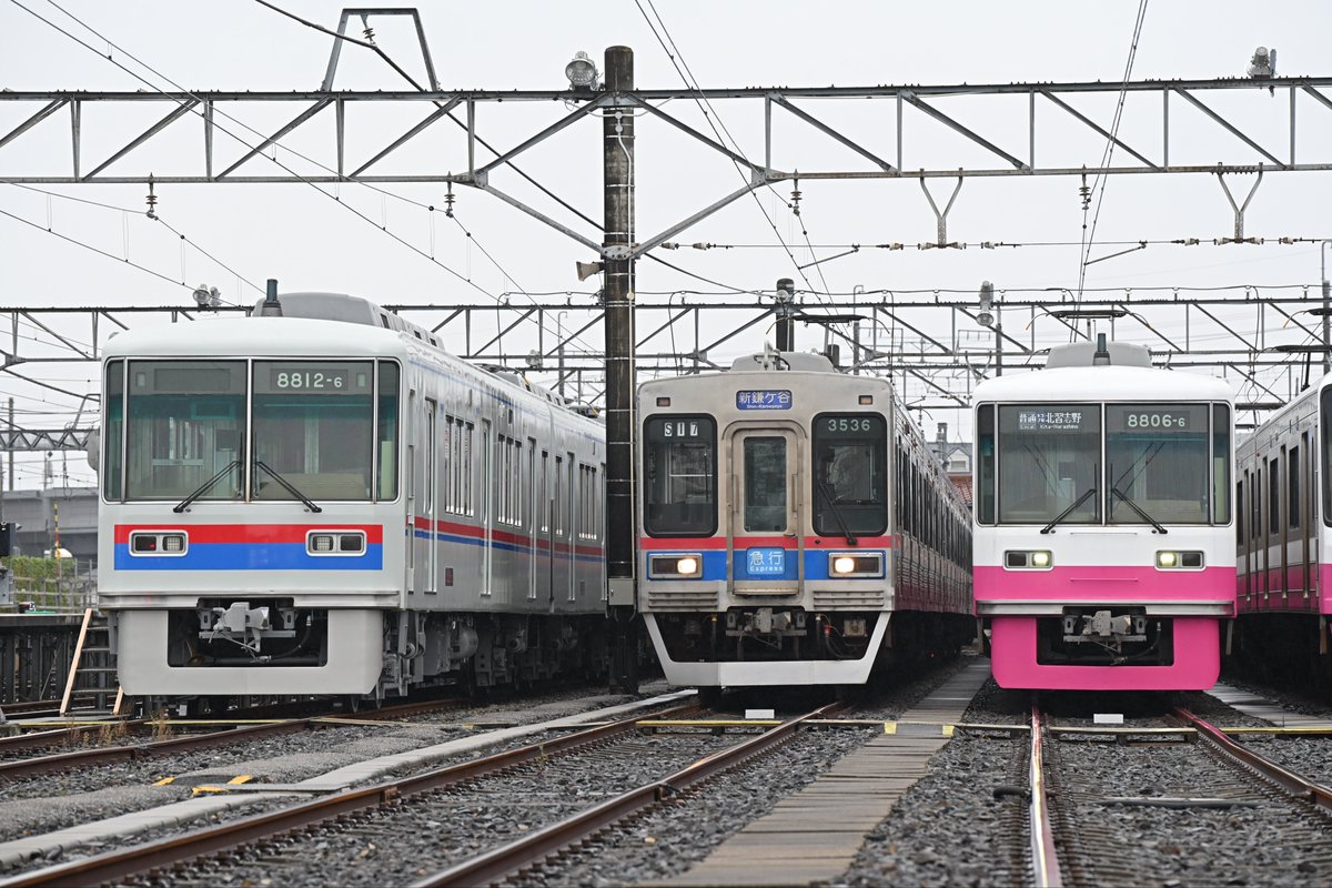 いわも tweet media