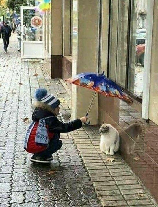 ff6_js's tweet image. 🌞 Good vibes only, negativity not invited.