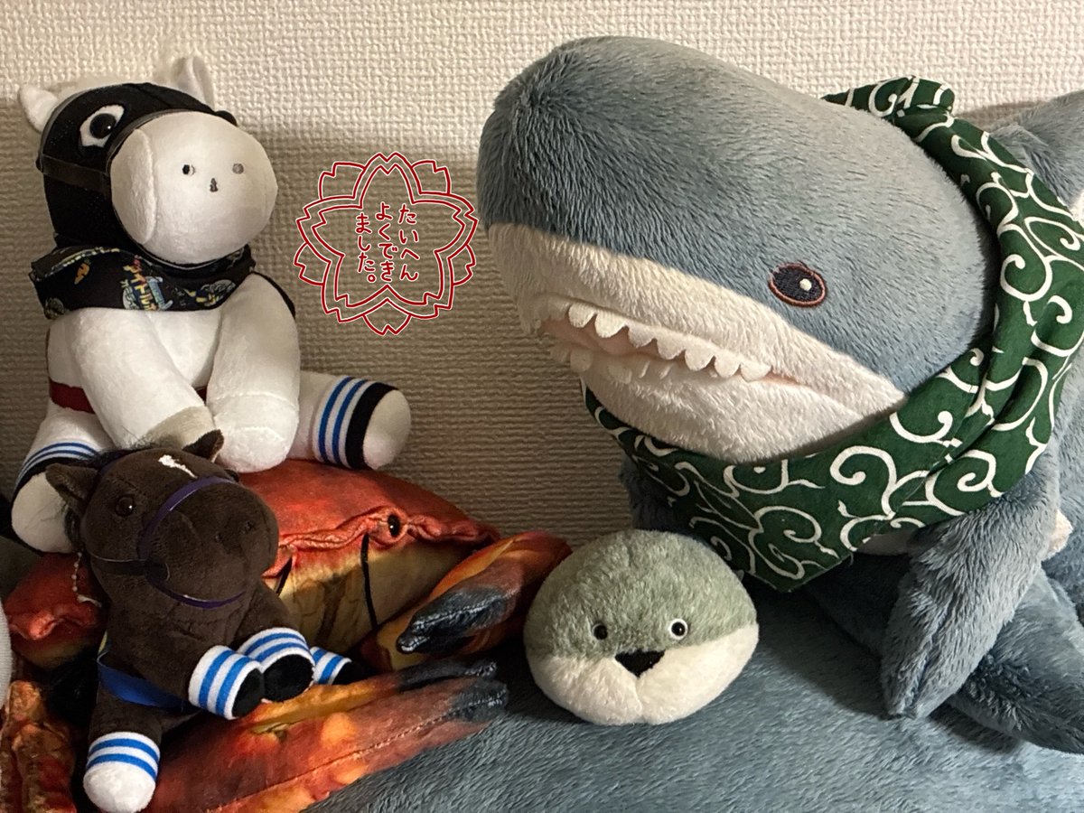 まめ子 (@dragon5893kt) / Posts / X