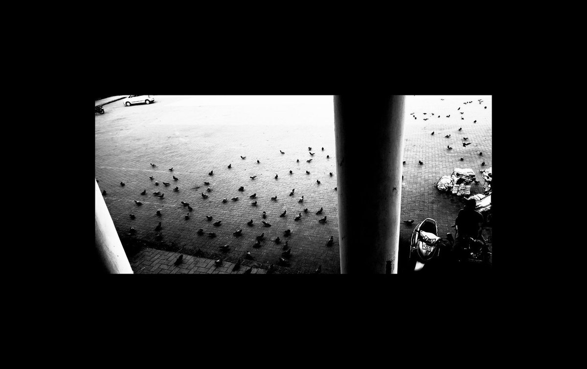 Historyguy17762's tweet image. “post Monsoon mornings in Mumbai, through a Pixel lens 🌧️📱
#teampixel, #ShotOnPixel, #PixelCommunity