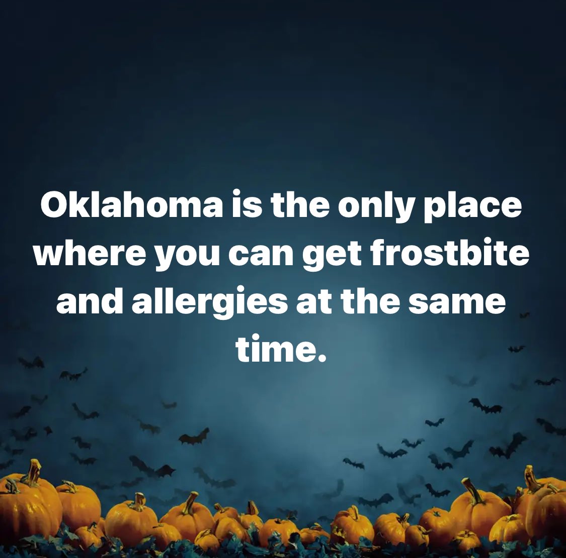 It was 44°F with a wind chill of 29° when I pushed the trash cans out to the curb yesterday.