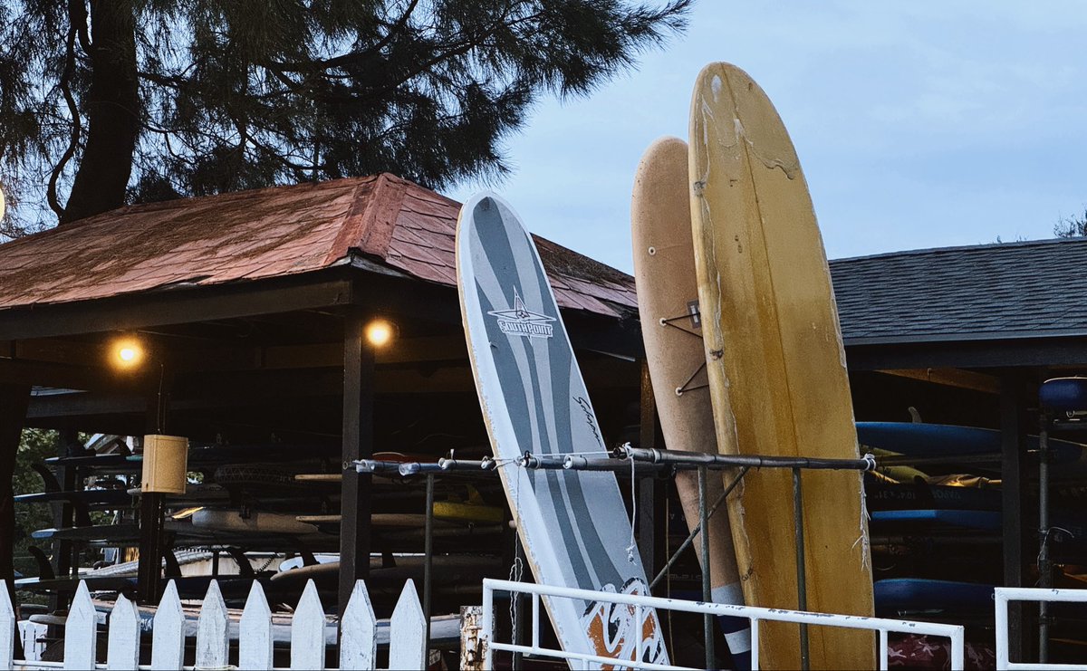 popcorn_iz's tweet photo. 🏄‍♂️ https://t.co/ZigwEzhxh3