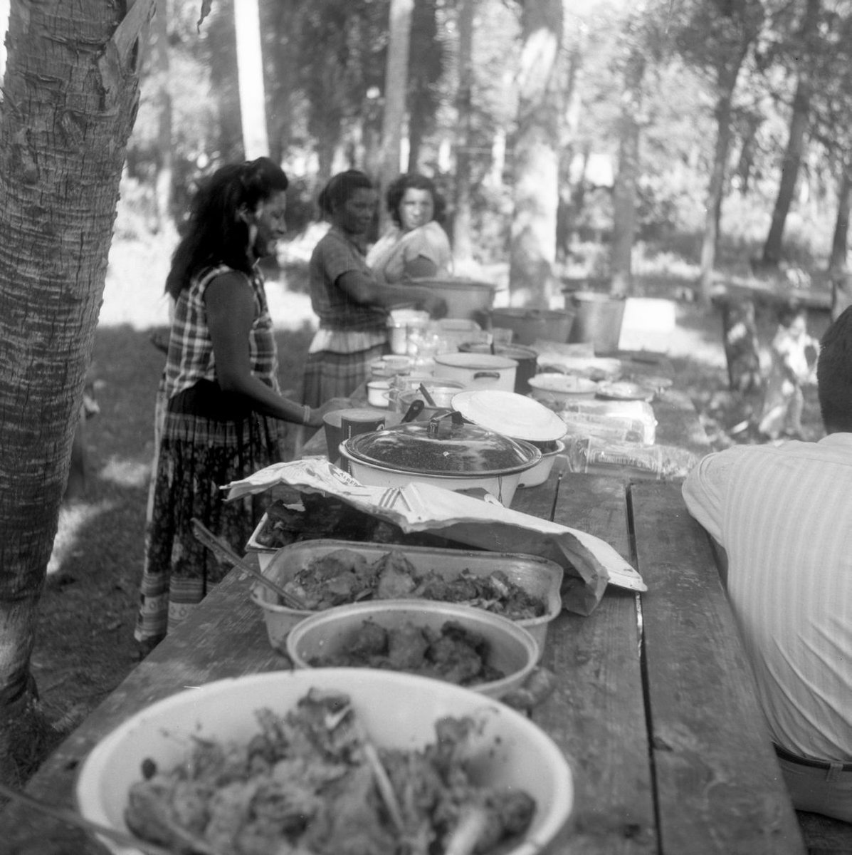StateLibraryFL's tweet image. Celebrations of #Thanksgiving: A Seminole Indian Thanksgiving meal (c.1955); an Underwater Thanksgiving dinner in Rainbow Springs (c.1950); Governor LeRoy Collins pardon the Thanksgiving turkey (c.1957); FAMU sorority members with food for the needy (c.1957). @FLMemory