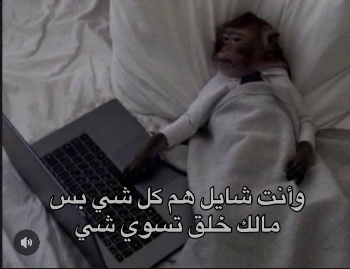 Abdullah1172912's tweet image. توهقنا بهالأجازة