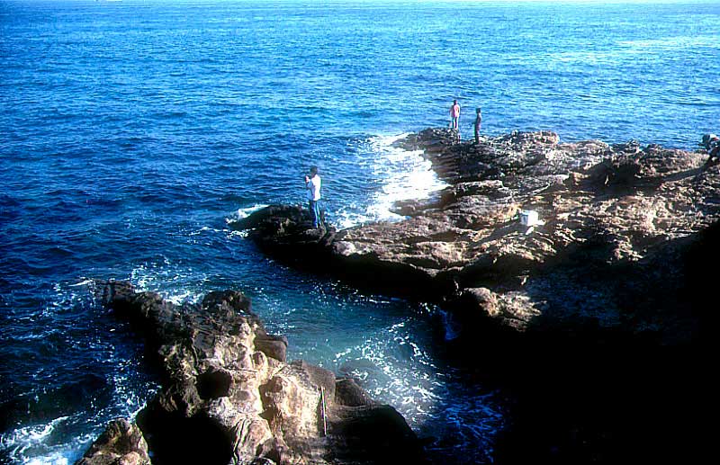 htomsn's tweet photo. 三浦半島東端、観音崎灯台下、
観音崎の磯は黒鯛の好ポイントとしても知られています。浮き、フカシで黒鯛の他、メジナ、アイナメ、メバル、スズキ、タナゴ等が釣れますがウエーダー(釣り用の防水長靴)の着用が必要なところです。#kantoNK https://t.co/uCWbw7I57K