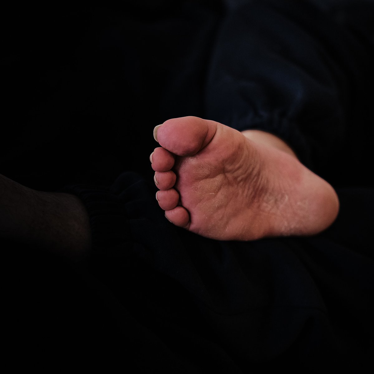 今日份新鲜的胖脚