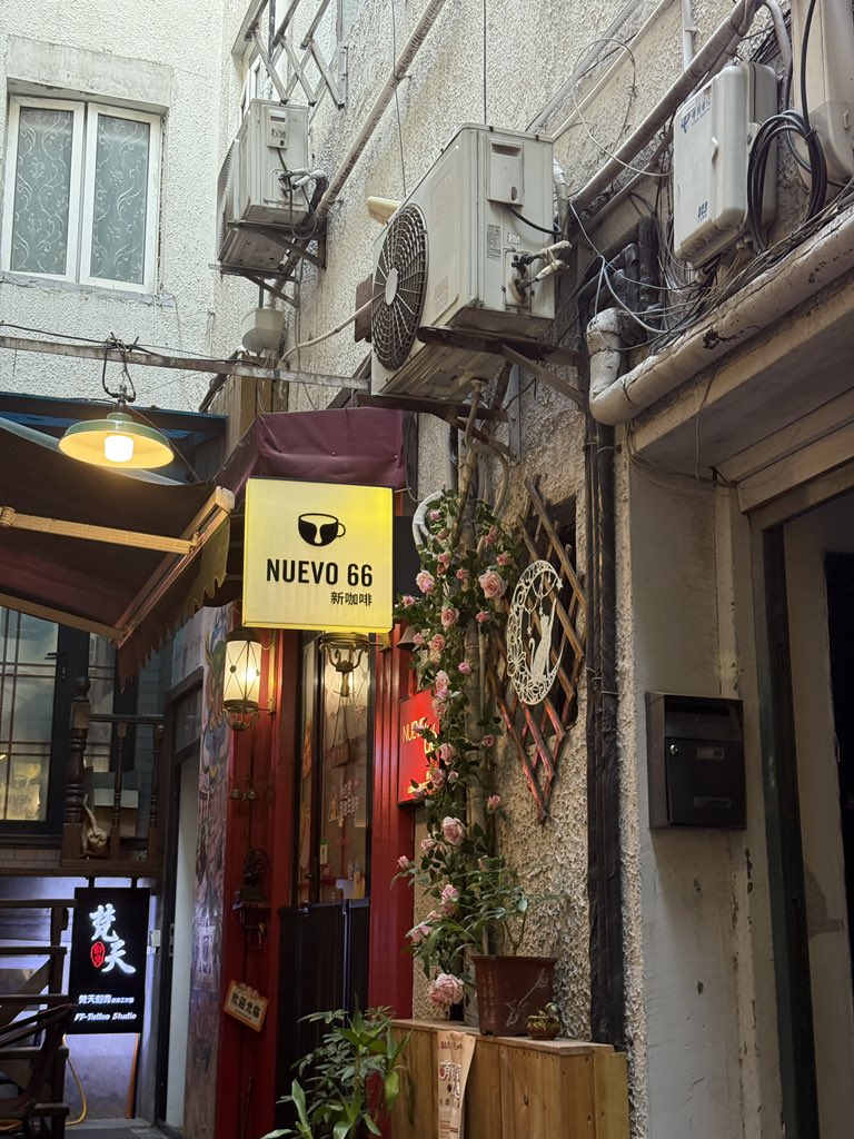 魚🐟（上岸版） tweet media