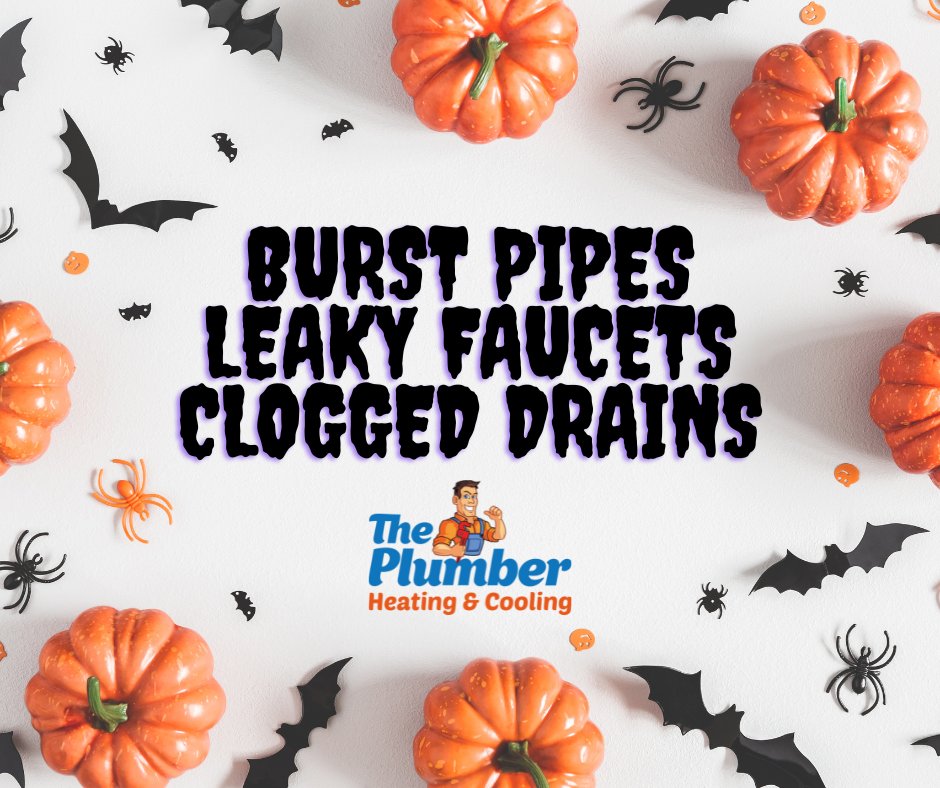 The only thing scarier than monsters… is ignoring a clog or leak. 👻

We’ll find out what’s really haunting your plumbing!

✔️Residential, Multifamily &amp; Commercial
✔️Fully Licensed &amp; Insured
✔️Trusted in Western New York for over 18 years

📞716-260-2392 |